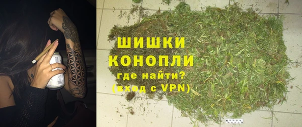 дживик Баксан