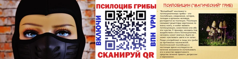 Галлюциногенные грибы Psilocybine cubensis  наркота  Щигры 